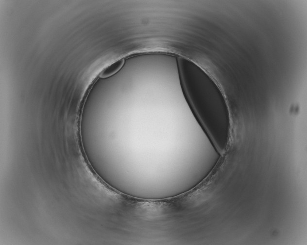 X0000113060805200909110913