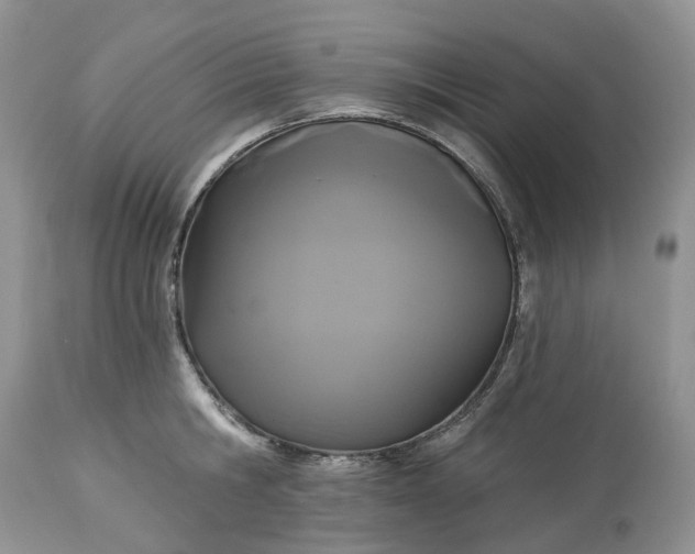 X0000113060806200909110913