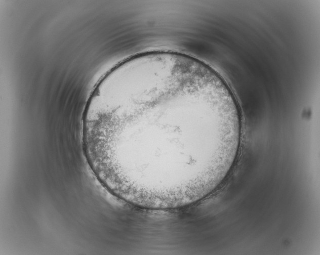 X0000113060807200909110913