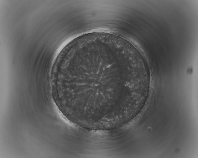 X0000113060808200909110913