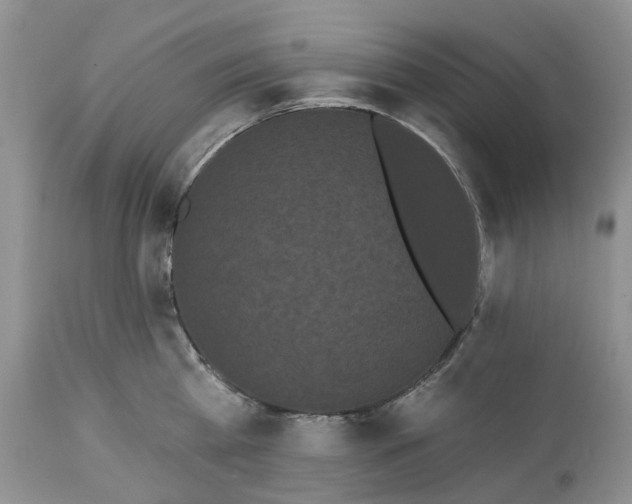 X0000113060809200909110913