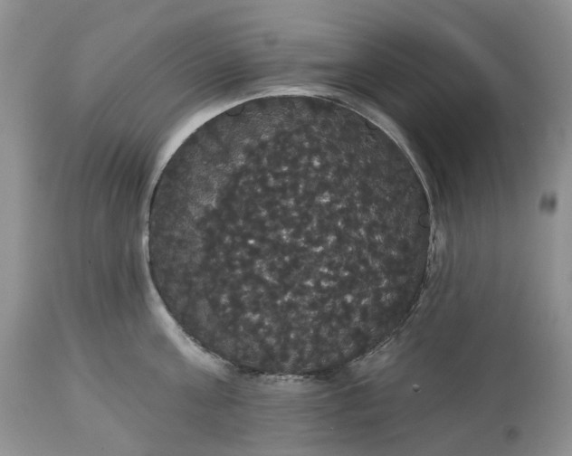 X0000113060811200909110913