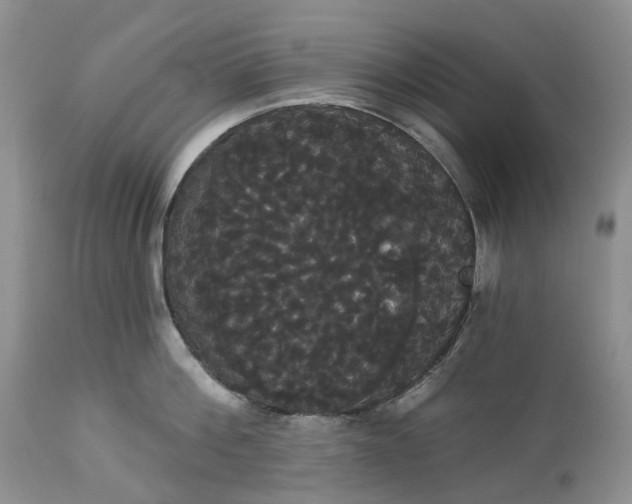 X0000113060812200909110913