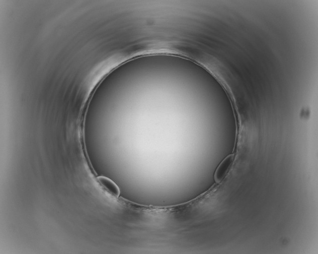 X0000113060813200909110913