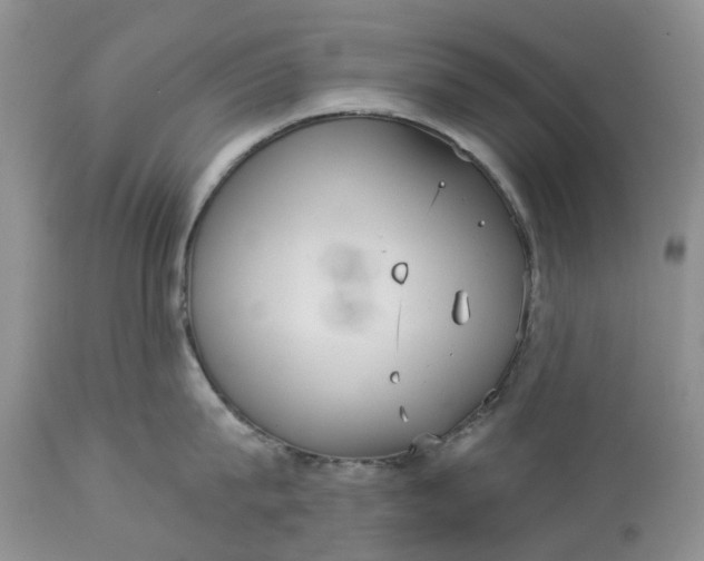 X0000113060815200909110913