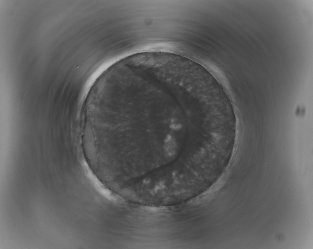 X0000113060816200909110913