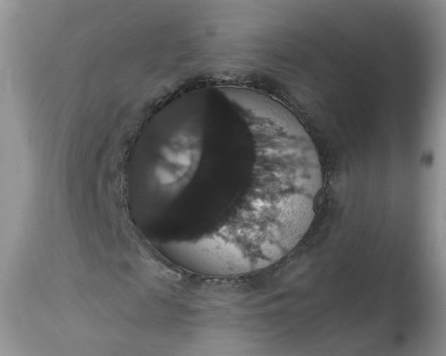 X0000113060817200909110913