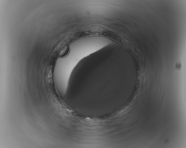 X0000113060818200909110913
