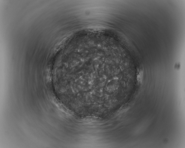 X0000113060819200909110913