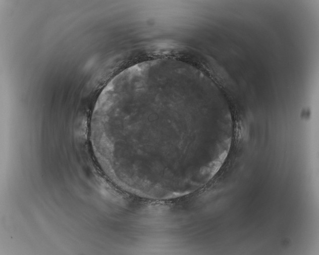 X0000113060820200909110913