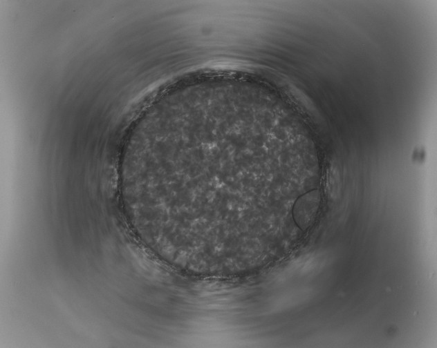 X0000113060821200909110913