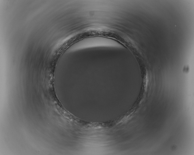 X0000113060822200909110913