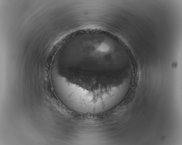X0000113060823200909110913