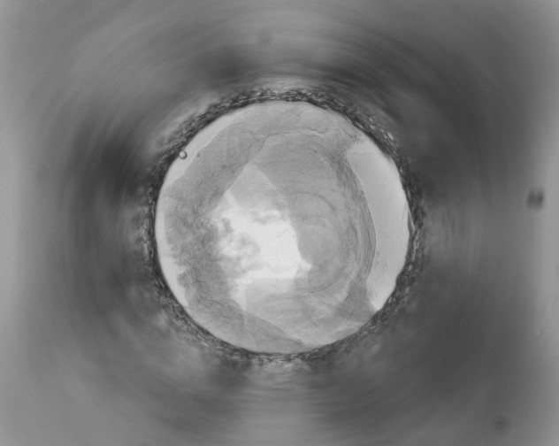 X0000113060824200909110913
