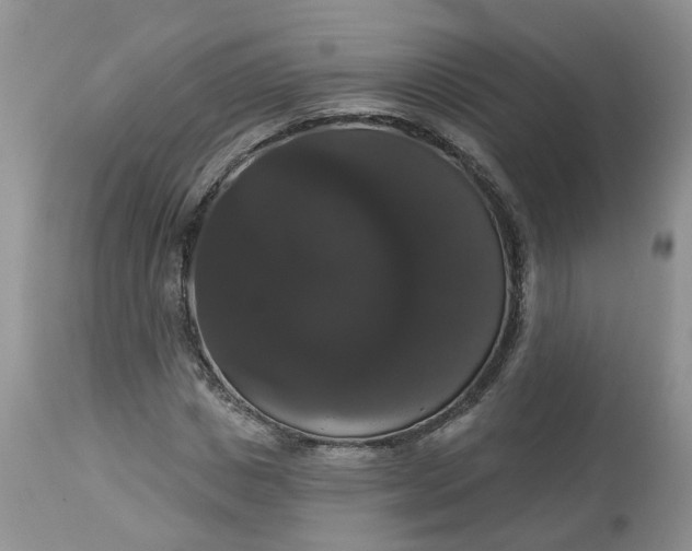 X0000113060825200909110913
