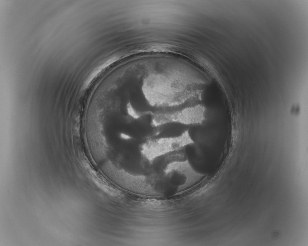 X0000113060827200909110913