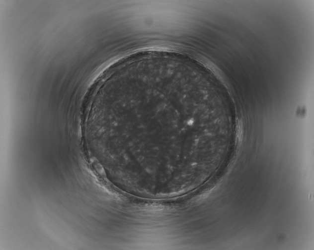 X0000113060829200909110913