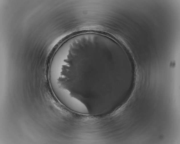 X0000113060830200909110913