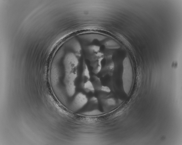 X0000113060831200909110913