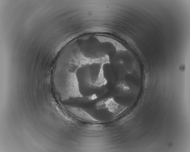 X0000113060833200909110913