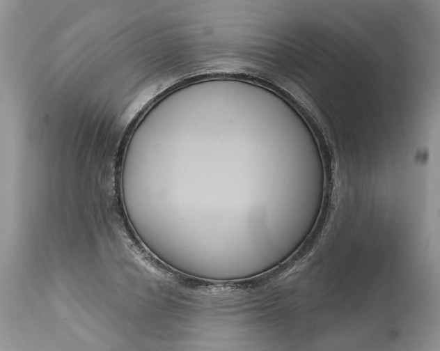 X0000113060834200909110913