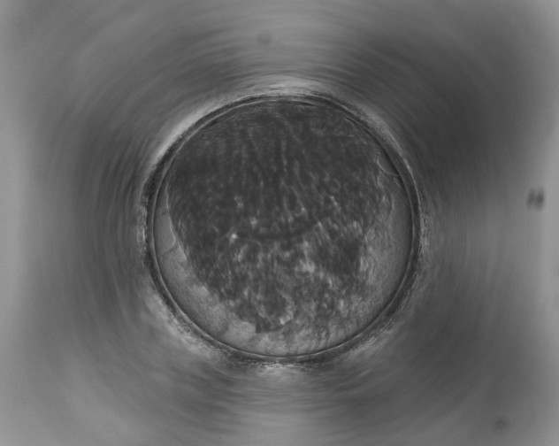 X0000113060835200909110913