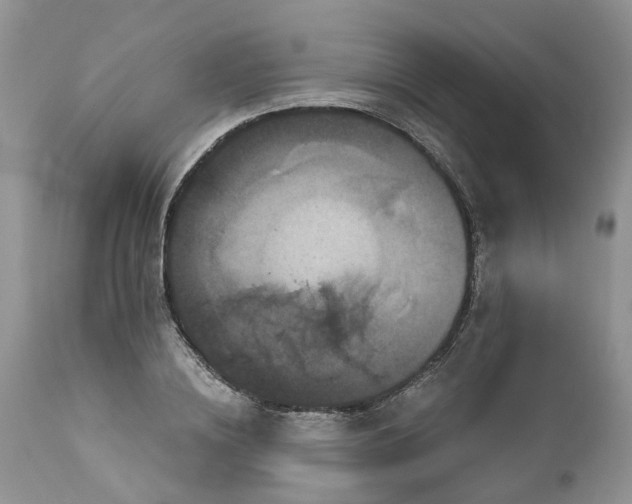 X0000113060836200909110913