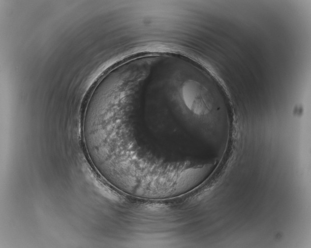 X0000113060837200909110913