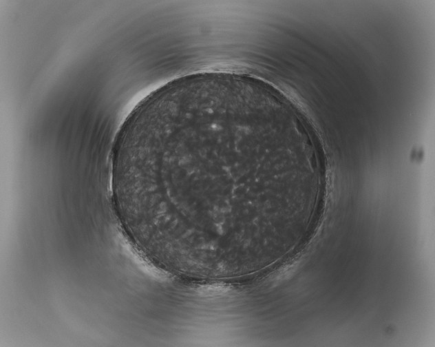 X0000113060838200909110913