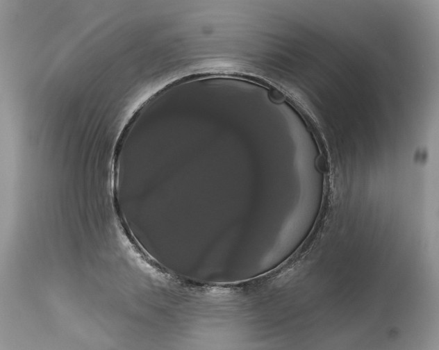 X0000113060839200909110913