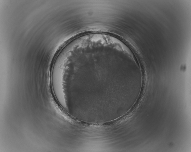 X0000113060840200909110913