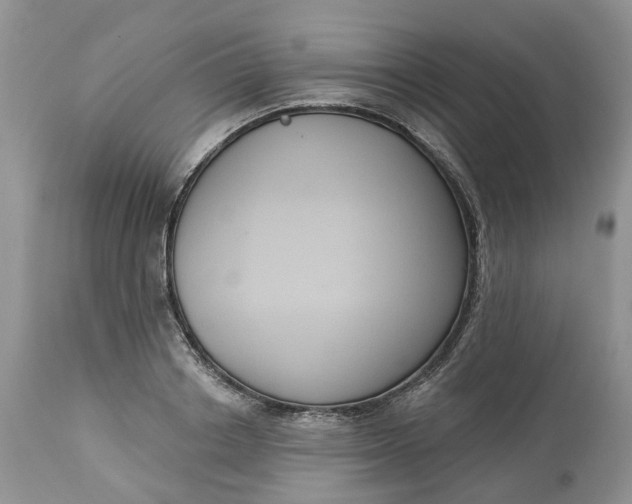 X0000113060842200909110913