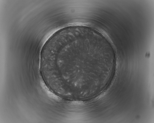 X0000113060844200909110913