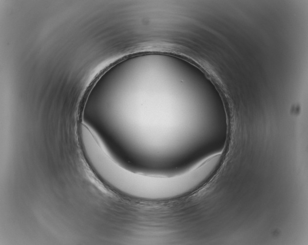 X0000113060846200909110913