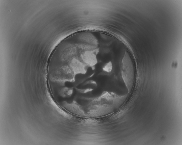 X0000113060847200909110913