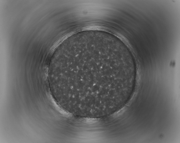 X0000113060849200909110913