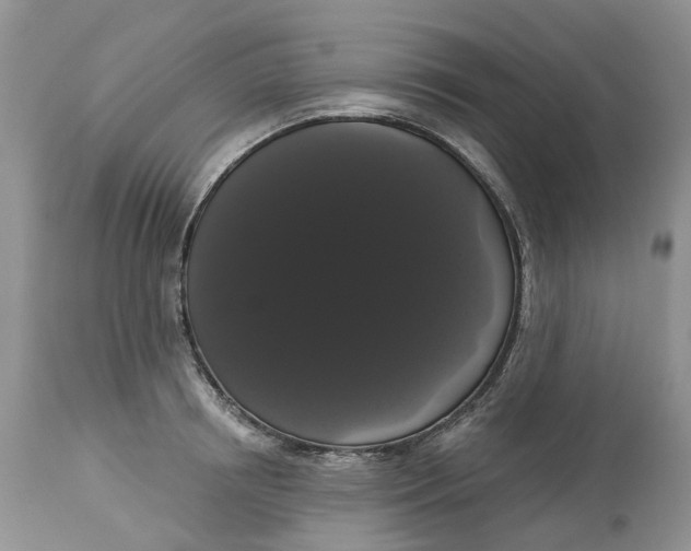 X0000113060850200909110913