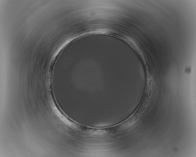 X0000113060851200909110913