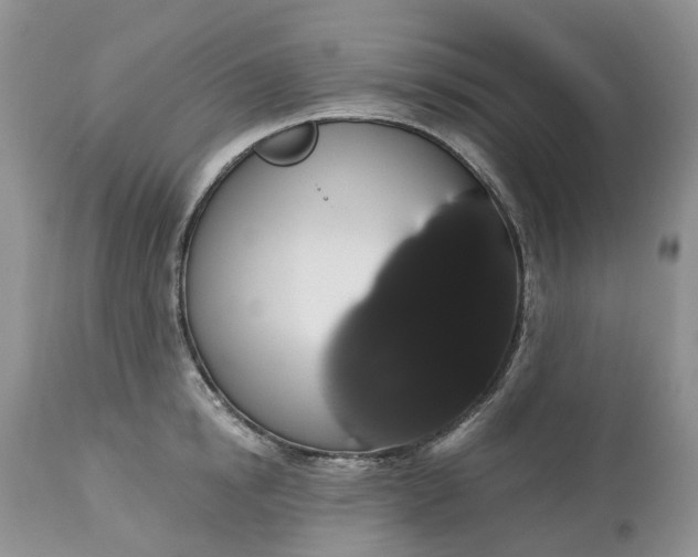X0000113060854200909110913