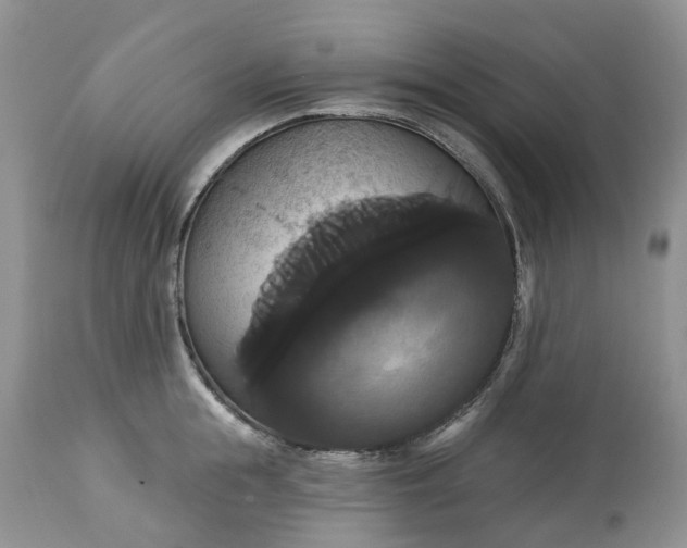 X0000113060855200909110913
