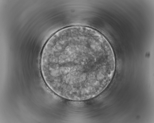 X0000113060856200909110913