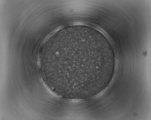X0000113060857200909110913