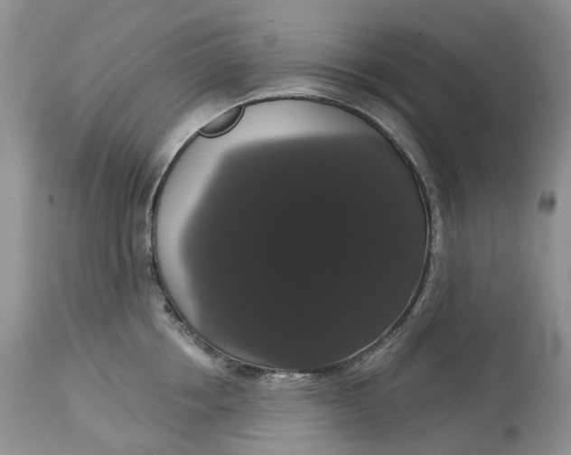 X0000113060858200909110913