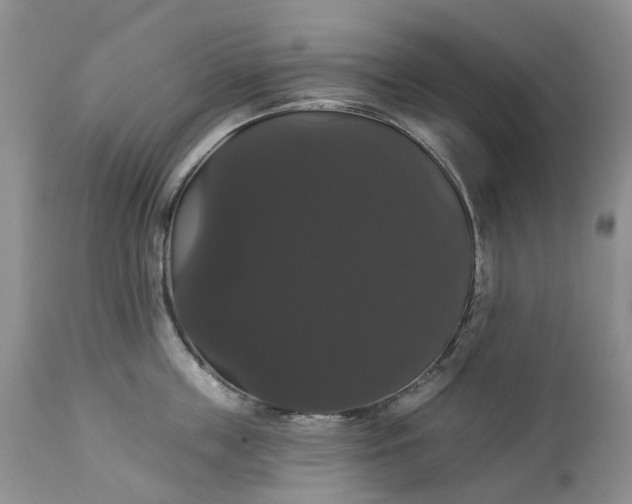 X0000113060859200909110913