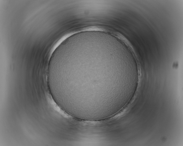 X0000113060860200909110913