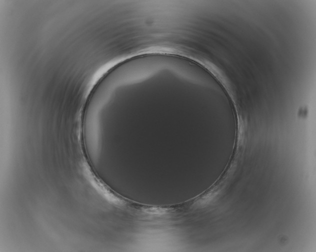 X0000113060862200909110913