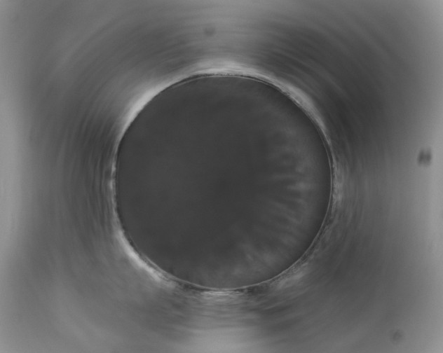 X0000113060863200909110913