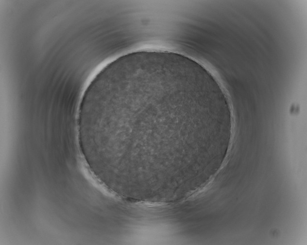 X0000113060864200909110913