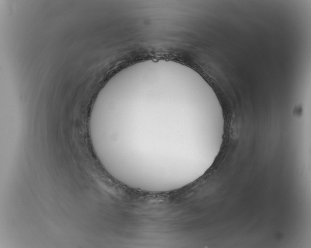 X0000113060865200909110913