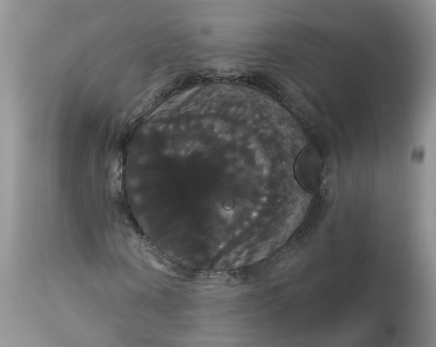 X0000113060866200909110913